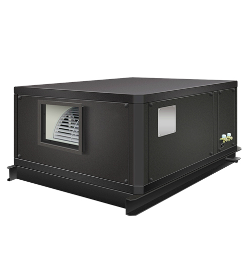 重庆91视频污免费观看